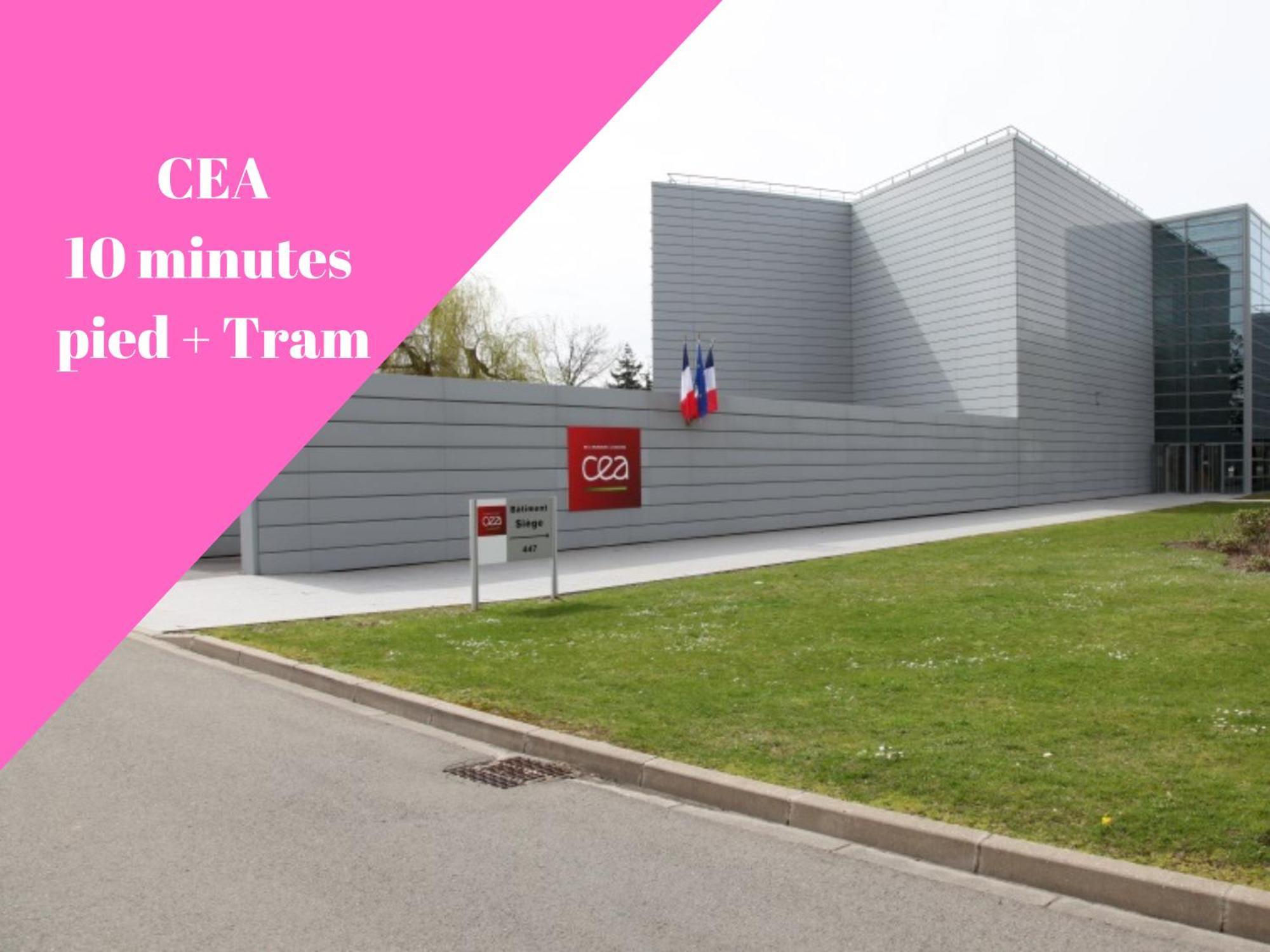 Apartamento Vue Montagne - Appt Cosy Et Calme - Netflix - Fibre Grenoble Exterior foto